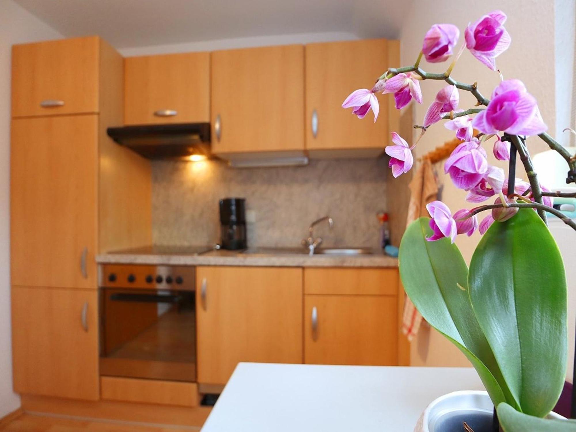 Cozy Apartment In Schwenningen With Garden Villingen-Schwenningen Kültér fotó