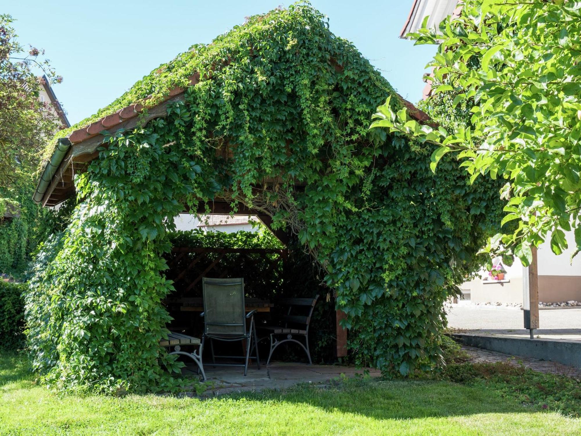Cozy Apartment In Schwenningen With Garden Villingen-Schwenningen Kültér fotó